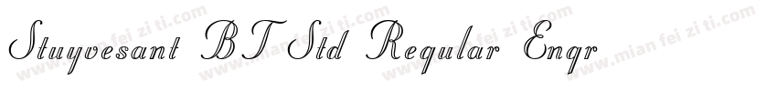 Stuyvesant BT Std Regular Engraved字体转换